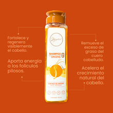 Cargar imagen en el visor de la galería, SHAMPOO CON GINGSENG ANYELUZ
